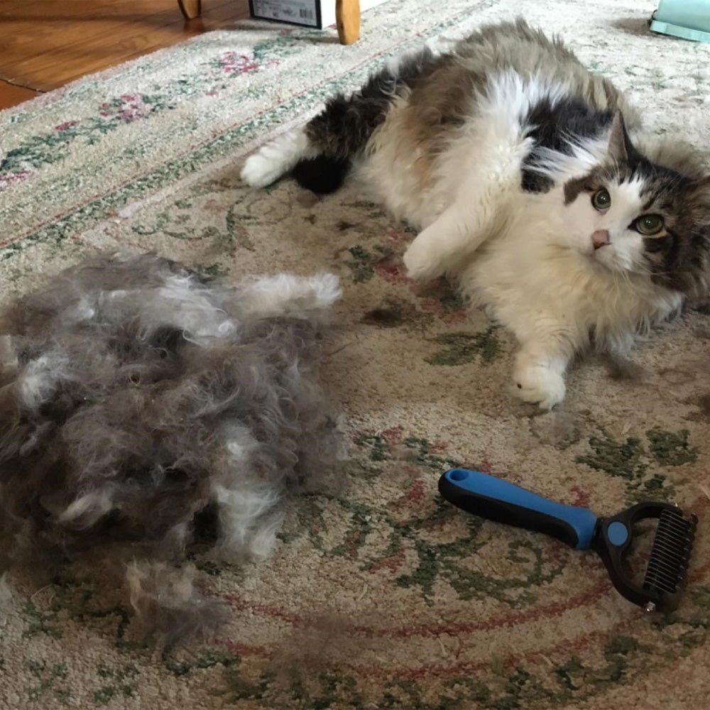 (image for) 🔥Buy 3 Free Shipping🔥Pet Grooming Brush - Double Sided Shedding And Dematting Undercoat Rake Comb
