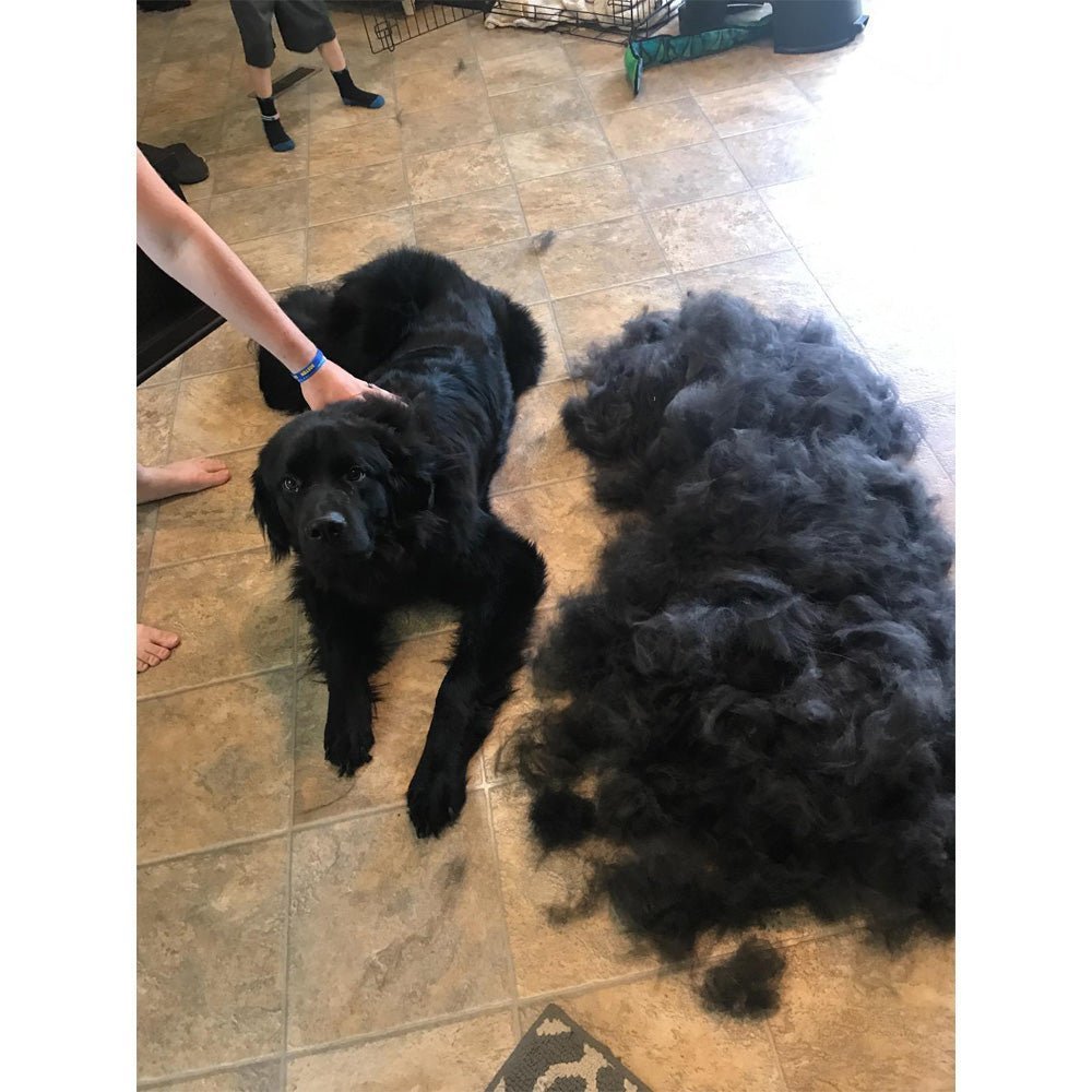 (image for) 🔥Buy 3 Free Shipping🔥Pet Grooming Brush - Double Sided Shedding And Dematting Undercoat Rake Comb