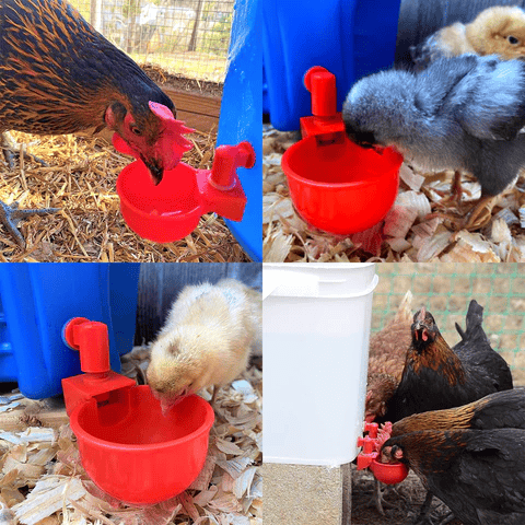 (image for) (⚡Flash Sale Today - 49% OFF) 6PCS/SET Automatic Poultry Drinking Bowl - Buy 2 Get 1 Free