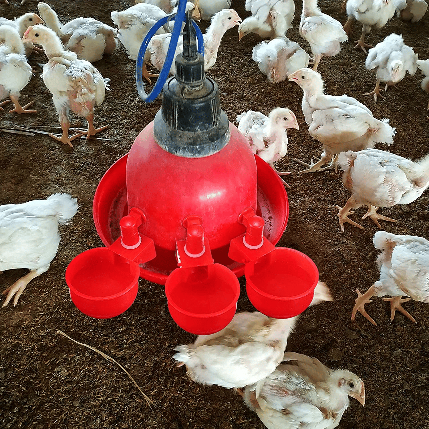 (image for) (⚡Flash Sale Today - 49% OFF) 6PCS/SET Automatic Poultry Drinking Bowl - Buy 2 Get 1 Free