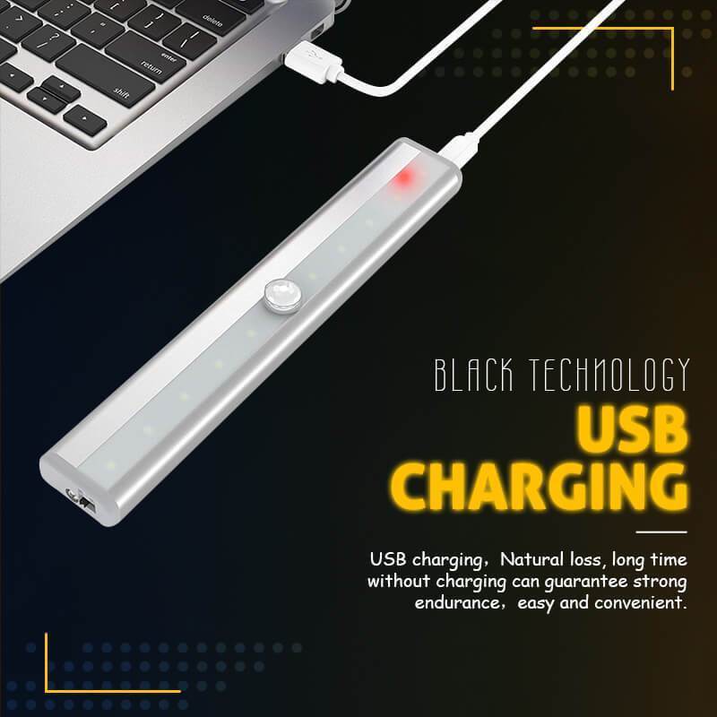 (image for) LED Motion Sensing closet Light