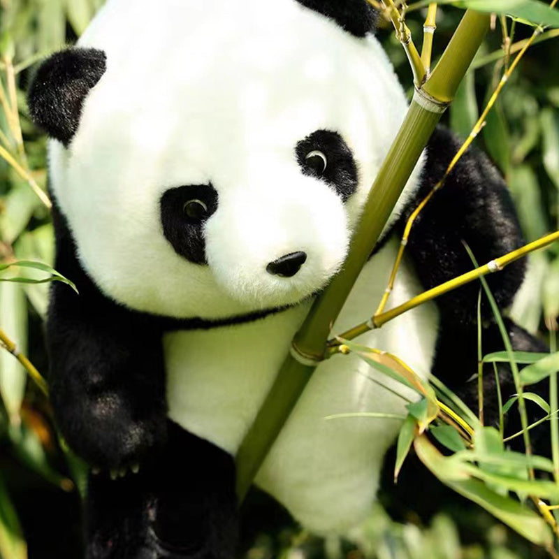 (image for) 🔥50% off New Fall Arrivals🔥Super Simulation Panda Doll Plush Toy Sitting Posture Giant Panda